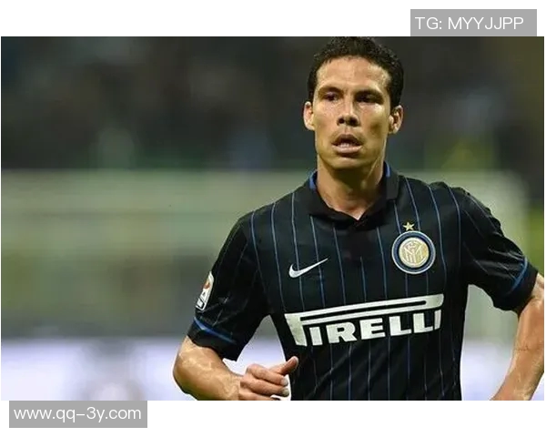 埃尔纳内斯:国米前锋助力胜利尤文在关键时刻缺乏火力支持 埃尔纳内斯:国米前锋助力胜利尤文在关键时刻缺乏火力支持